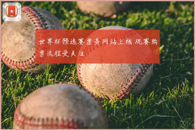 世界杯预选赛票务网站上线 观赛购票流程受关注