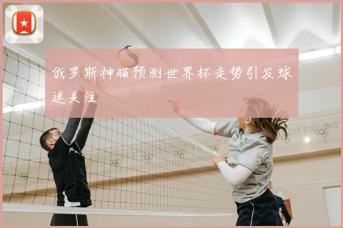 俄罗斯神猫预测世界杯走势引发球迷关注