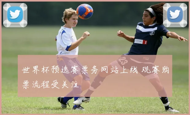 世界杯预选赛票务网站上线 观赛购票流程受关注