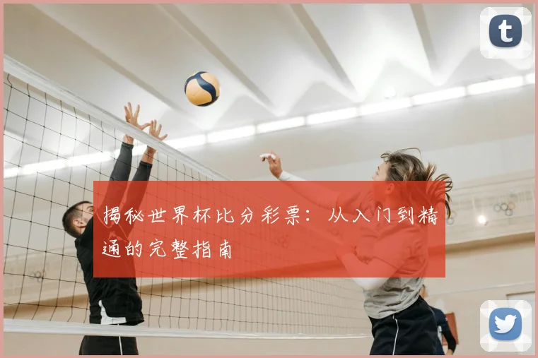 揭秘世界杯比分彩票:从入门到精通的完整指南