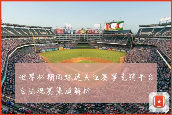 世界杯期间球迷关注赛事竞猜平台合法观赛渠道解析