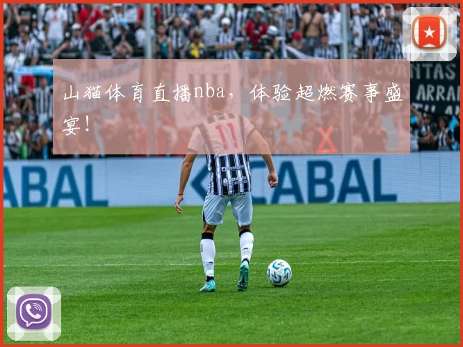 山猫体育直播nba，体验超燃赛事盛宴！