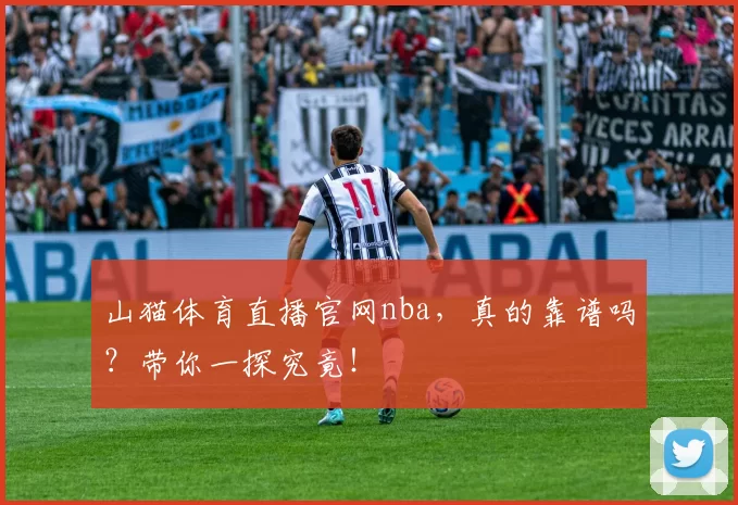 山猫体育直播官网nba，真的靠谱吗？带你一探究竟！