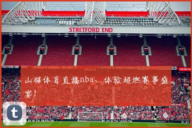 山猫体育直播nba，体验超燃赛事盛宴！